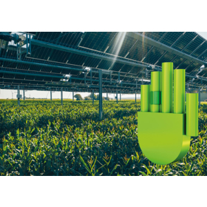 TSE ENERGY remporte le Manus vert du concours organisé par IGUS pour une installation agrivoltaïque