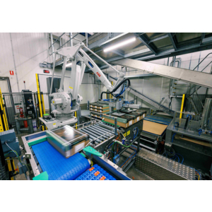 Dematic présente les avantages de l'automatisation au salon IFFA 2025