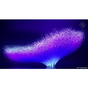 Rohde & Schwarz organise l'édition 2026 de son événement en ligne « Démystifier la CEM »