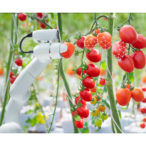 Les systèmes d’entraînement haut de gamme de Faulhaber au coeur de l'agriculture intelligente 