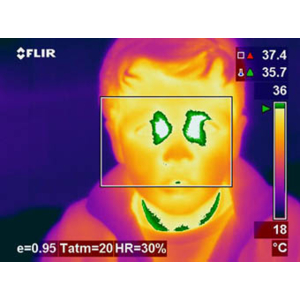 Détection de la grippe porcine et d'autres maladies virales grâce aux caméras infrarouges FLIR