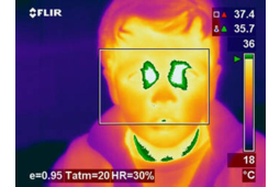 Détection de la grippe porcine et d'autres maladies virales grâce aux caméras infrarouges FLIR