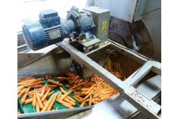 lES paliers Life-Lube® de NSK accroissnt la fiabilité des opérations de lavage de légumes 