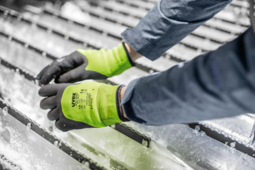 uvex unilite thermo plus cut c , le nouveau gant hivernal anti-coupures