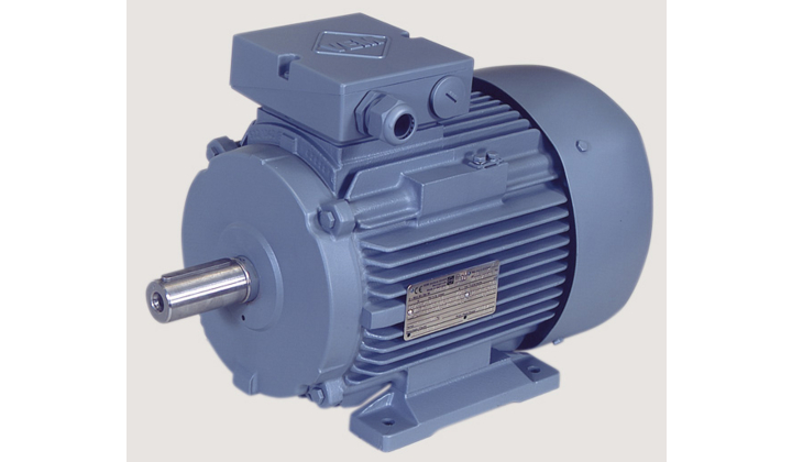 Moteur électrique pour zone poussière 21 et 22