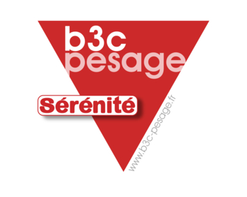 B3C SOEHNLE Pesage