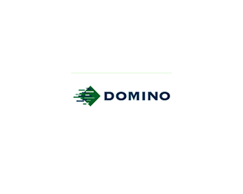 Domino Logo