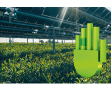 TSE ENERGY remporte le Manus vert du concours organisé par IGUS pour une installation agrivoltaïque