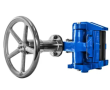 Frein à disque manuel