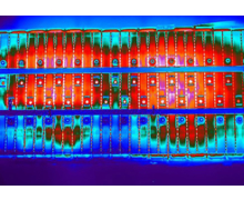 La surveillance thermique FLIR sécurise les les systèmes de stockage d'énergie par batterie