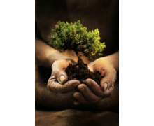 DENIOS participe à la Journée mondiale de l’Environnement du 5 juin 2013