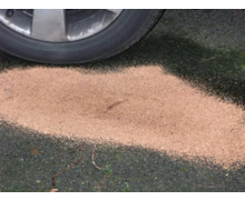 Absorbant granulé tous liquides 100 % liège