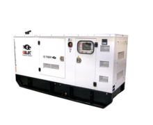 groupe electrogene TIGER 100 KW 125 KVA