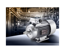 Siemens complète sa gamme de moteurs CEI basse tension à haut rendement